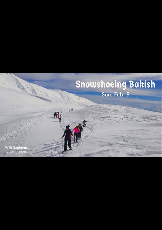 Snowshoeing Bakish - Sannine